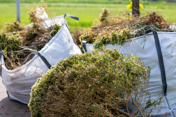 Best Same-Day Junk Removal  in Watonga, OK